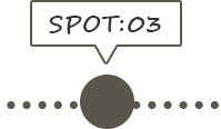 SPOT:03