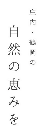 庄内・鶴岡の自然の恵みを