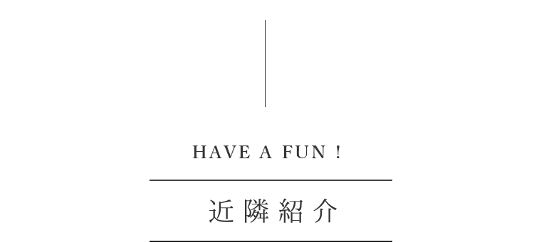 HAVE A FUN !