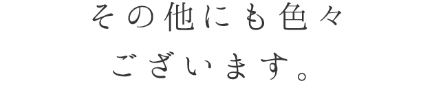 その他にも